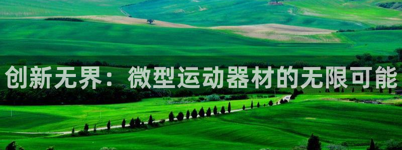 意昂5(KGAME)五金厂:创新无界:微型运动器材的无限可能