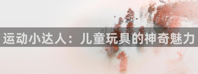 注册意昂5(KGAME):运动小达人:儿童玩具的神奇魅力