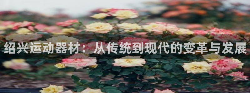 意昂体育5(KGAME)招商电话号码:绍兴运动器材:从传统到